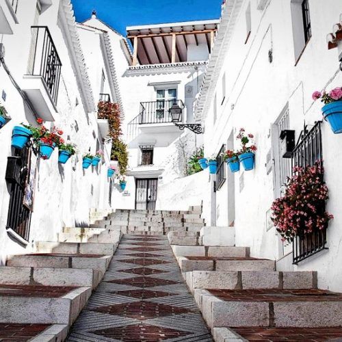 day trip mijas